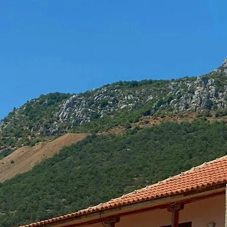 Sifi's House
